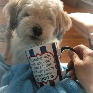 Meet your Posher, Kristen